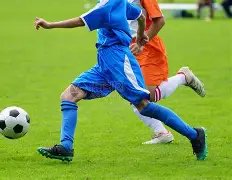 内幕揭秘,巴塞罗那深,度评估凯恩,金年会官网,金年会平台,金年会体育,金年会APP