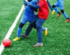 揭秘绿茵幕,利物浦名辅,范布隆克霍,金年会官网,金年会平台,金年会体育,金年会APP