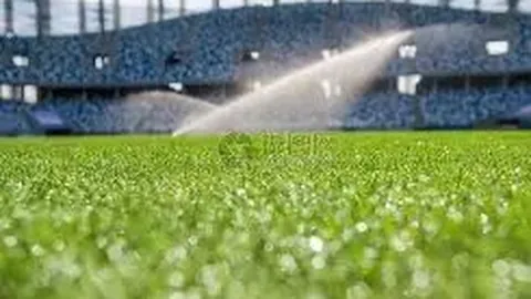 金年会 资讯 132444 12s